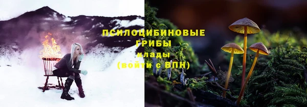 молекула духа Мурманск
