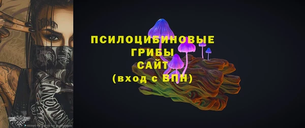 молекула духа Мурманск